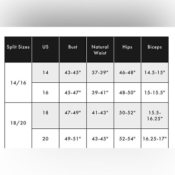 NWOT Eloquii Dramatic Sleeve V  Neck 14/16 - Picture 3 of 6